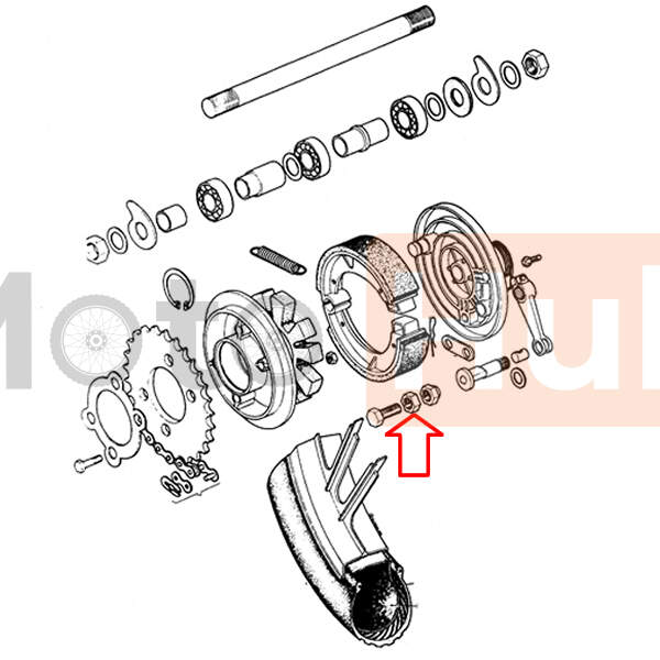 Nut of screw rear sprocket tomos bt m7x1 l10mm