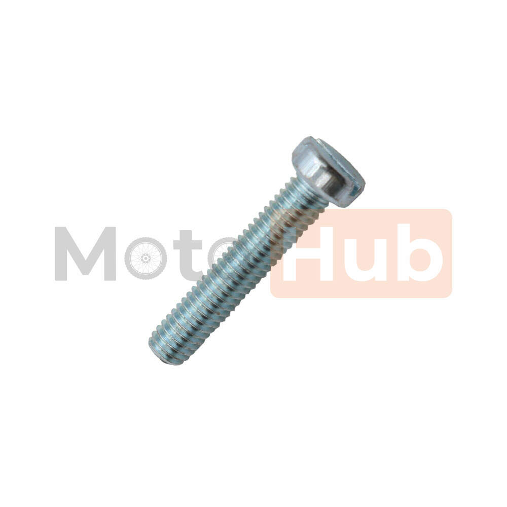 Screw M6x30 mm on screwdriver