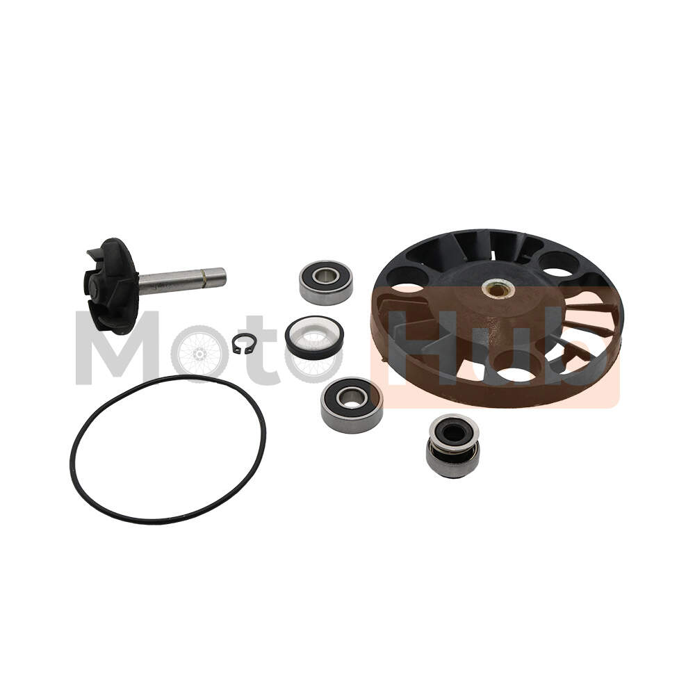 Water pump repair kit Piaggio Beverly 125/180/200cc 4T